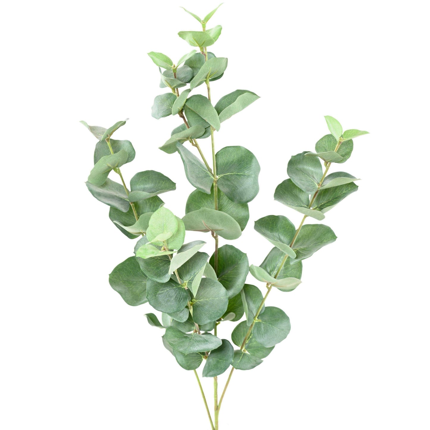 Eucalyptus artificiel gunnii spray - création de bouquet - H.70cm vert