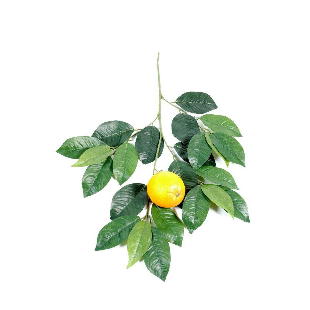 Feuillage artificiel branche d'Oranger et fruit - décoration pour intérieur - H.60cm