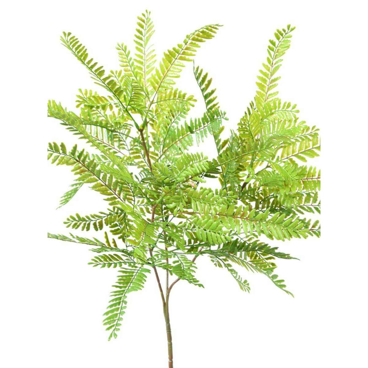 Feuillage artificiel Cassia en piquet - intérieur extérieur - H.75cm vert