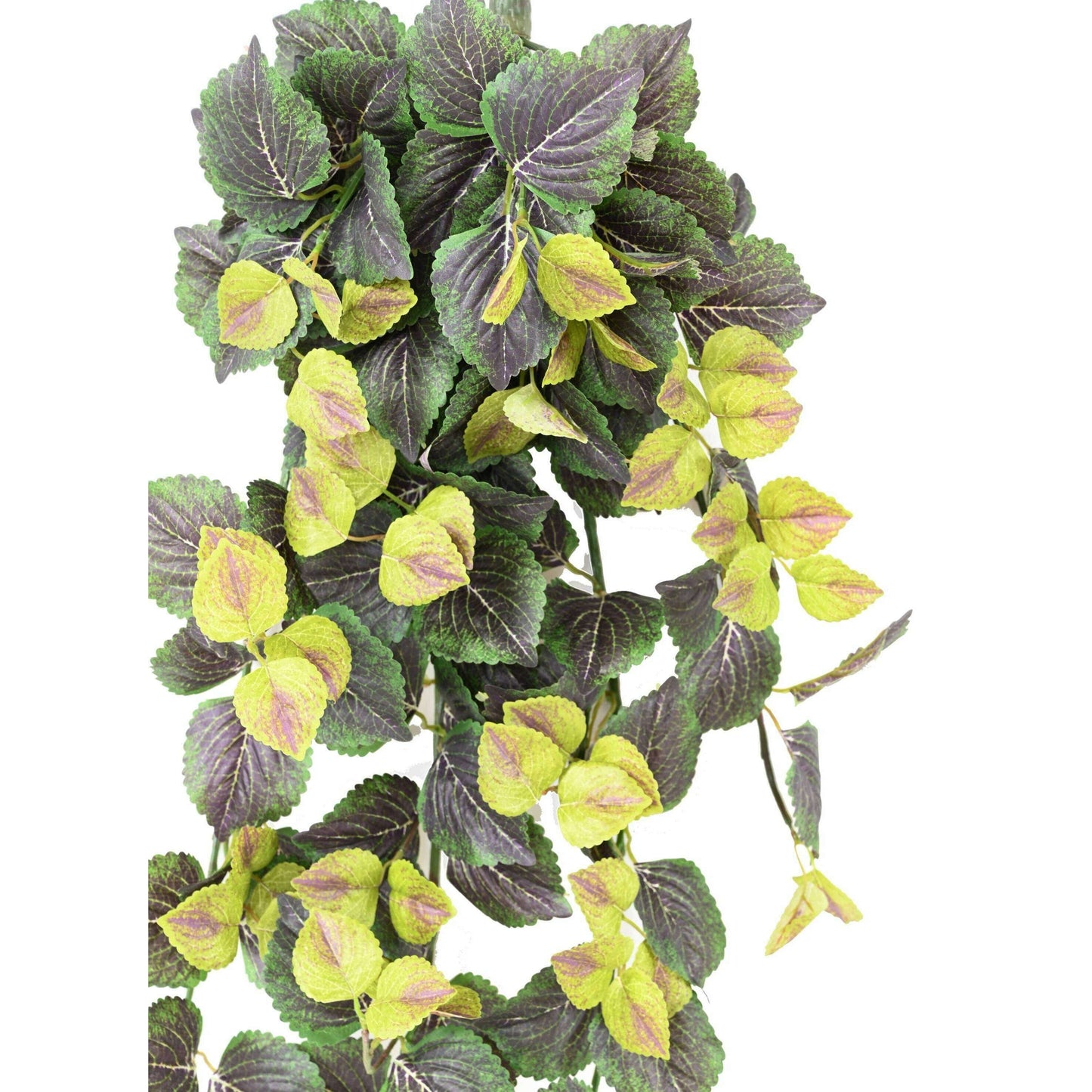 Feuillage artificiel chute de Coleus en piquet - plante d'intérieur - H.96cm vert foncé