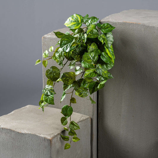 Feuillage artificiel chute de Pothos en piquet - plante d'intérieur - H.60cm panaché