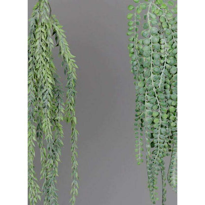 Feuillage artificiel chute de succulente Ruscus Callisia - assortiment de 2 plantes - H.60cm