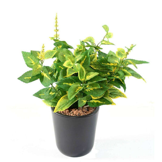 Feuillage artificiel Coleus en piquet - plante verte intérieur - H.40cm vert jaune