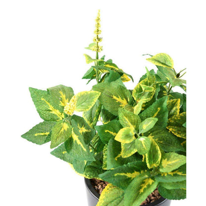 Feuillage artificiel Coleus en piquet - plante verte intérieur - H.40cm vert jaune