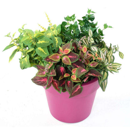 Feuillage artificiel Coleus en piquet - plante verte intérieur - H.40cm vert jaune