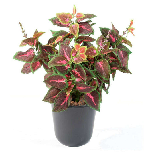 Feuillage artificiel Coleus en piquet - plante verte intérieur - H.40cm vert rouge