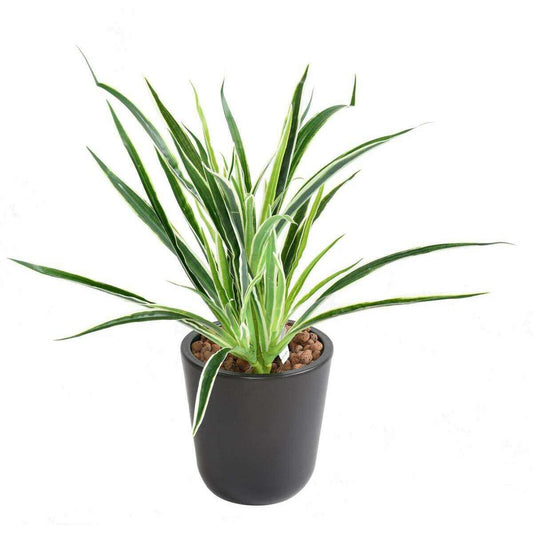 Feuillage artificiel Dracaena 4 touffes - plante en piquet - H.40cm panaché