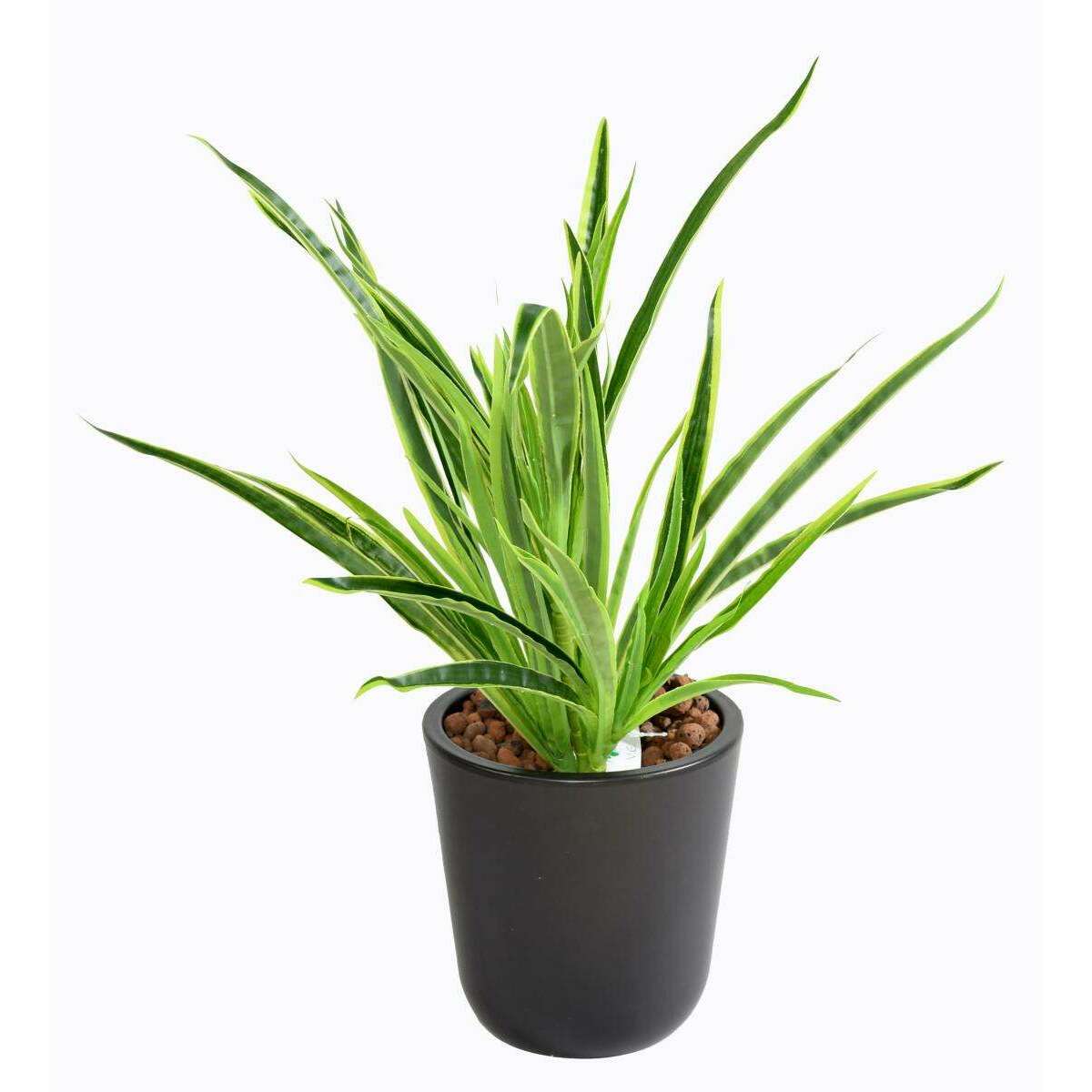 Feuillage artificiel Dracaena 4 touffes - plante en piquet - H.40cm vert 2 tons