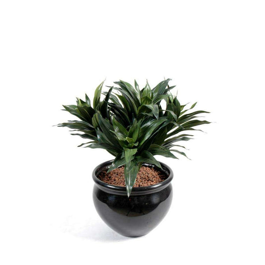 Feuillage artificiel Dracaena Fragans - plante en piquet - H.53cm vert