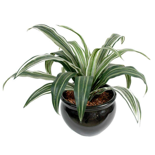 Feuillage artificiel Dracaena Warneki - plante en piquet - H.35cm vert blanc