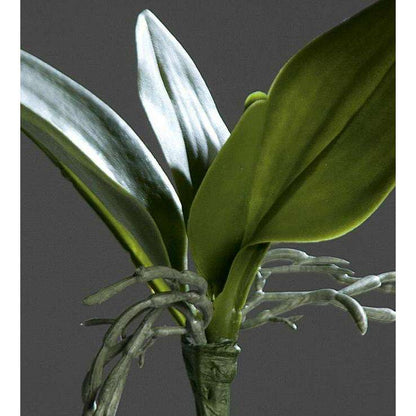 Feuillage artificiel Feuilles d'orchidée - plante en piquet - H.21cm vert