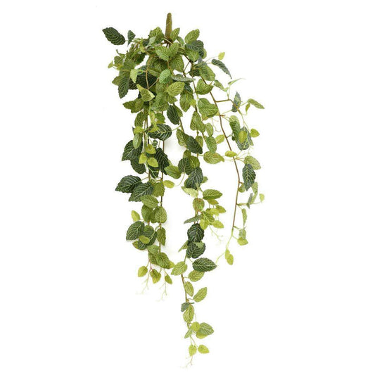 Feuillage artificiel piquet Fittonia - plante pour intérieur - H.80cm panaché