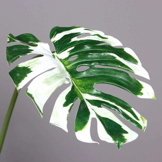 Feuille artificielle de Monstera - composition florale d'intérieur - H.110cm panaché