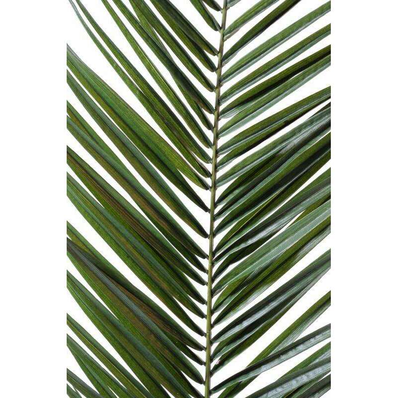 Feuille artificielle de Palmier Phoenix Canariensis Palme H.150cm