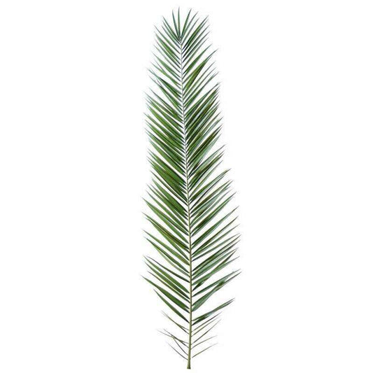 Feuille artificielle de Palmier Phoenix Canariensis Palme H.225 cm