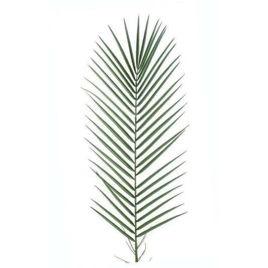 Feuille artificielle de Palmier Phoenix Palme plastique - extérieur - H.95cm