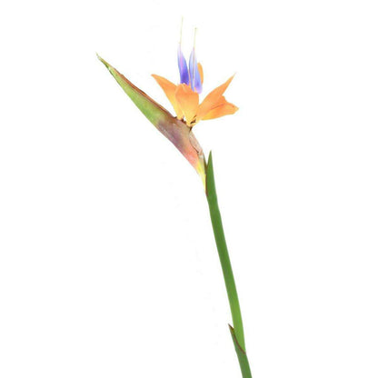 Fleur à la tige Strelitzia artificiel - décoration intérieure - H.80cm orange