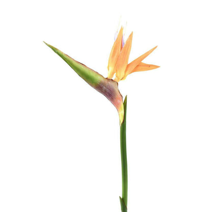 Fleur à la tige Strelitzia artificiel - décoration intérieure - H.80cm orange