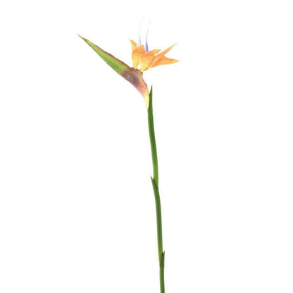 Fleur à la tige Strelitzia artificiel - décoration intérieure - H.80cm orange