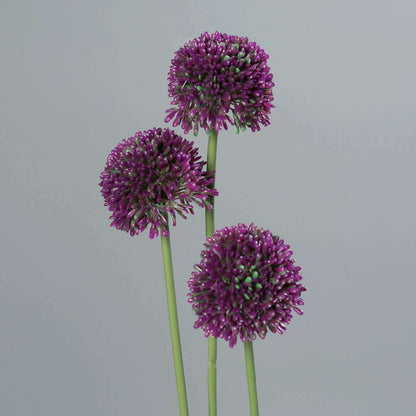 Fleur artificielle Allium ail d'ornement set de 3 - composition bouquet - H.46cm pourpre