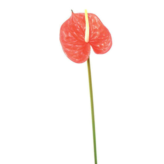 Fleur artificielle Anthurium - décoration florale - H.58cm rouge