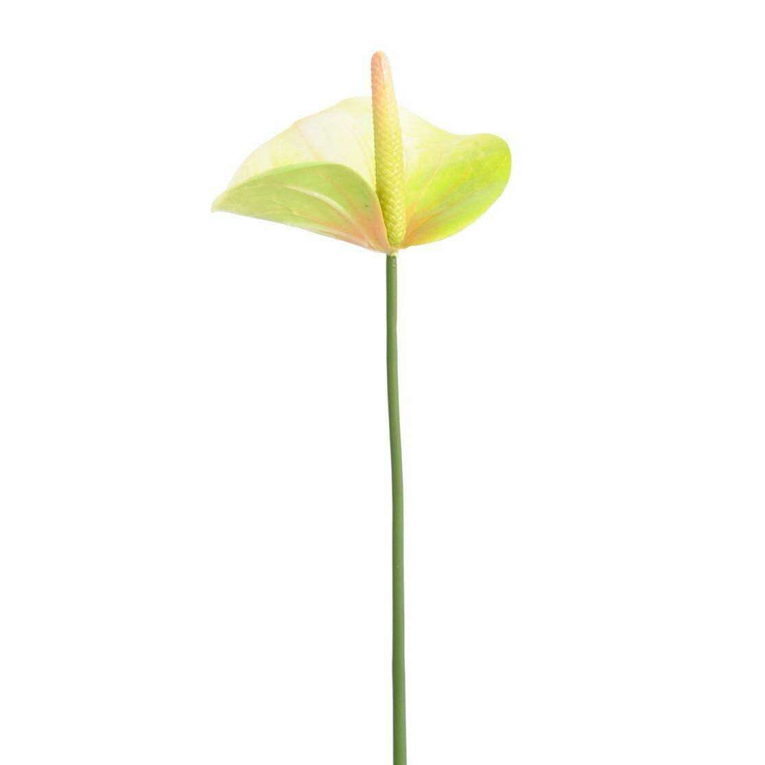 Fleur artificielle Anthurium - décoration florale - H.60cm vert