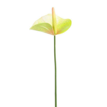 Fleur artificielle Anthurium - décoration florale - H.60cm vert