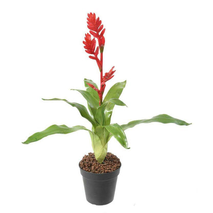 Fleur artificielle Bromélia 4 fleurs - décoration d'intérieur - H.55cm rouge