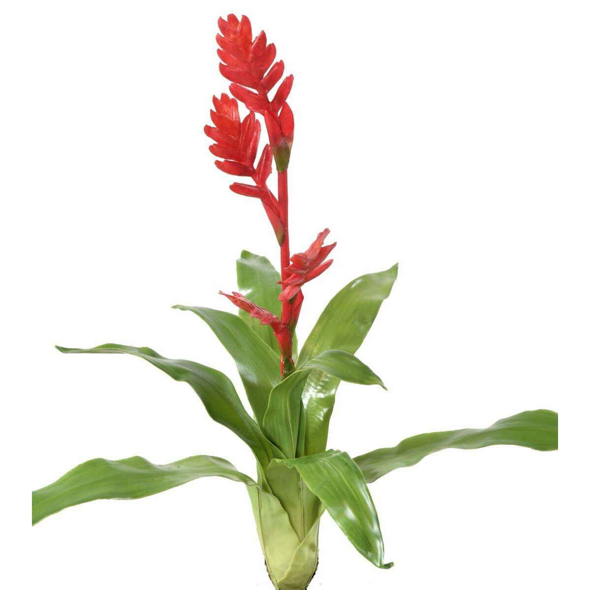 Fleur artificielle Bromélia 4 fleurs - décoration d'intérieur - H.55cm rouge