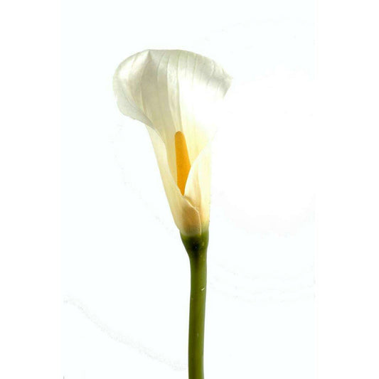 Fleur artificielle Calla Lily - création de bouquet - H.90cm blanc