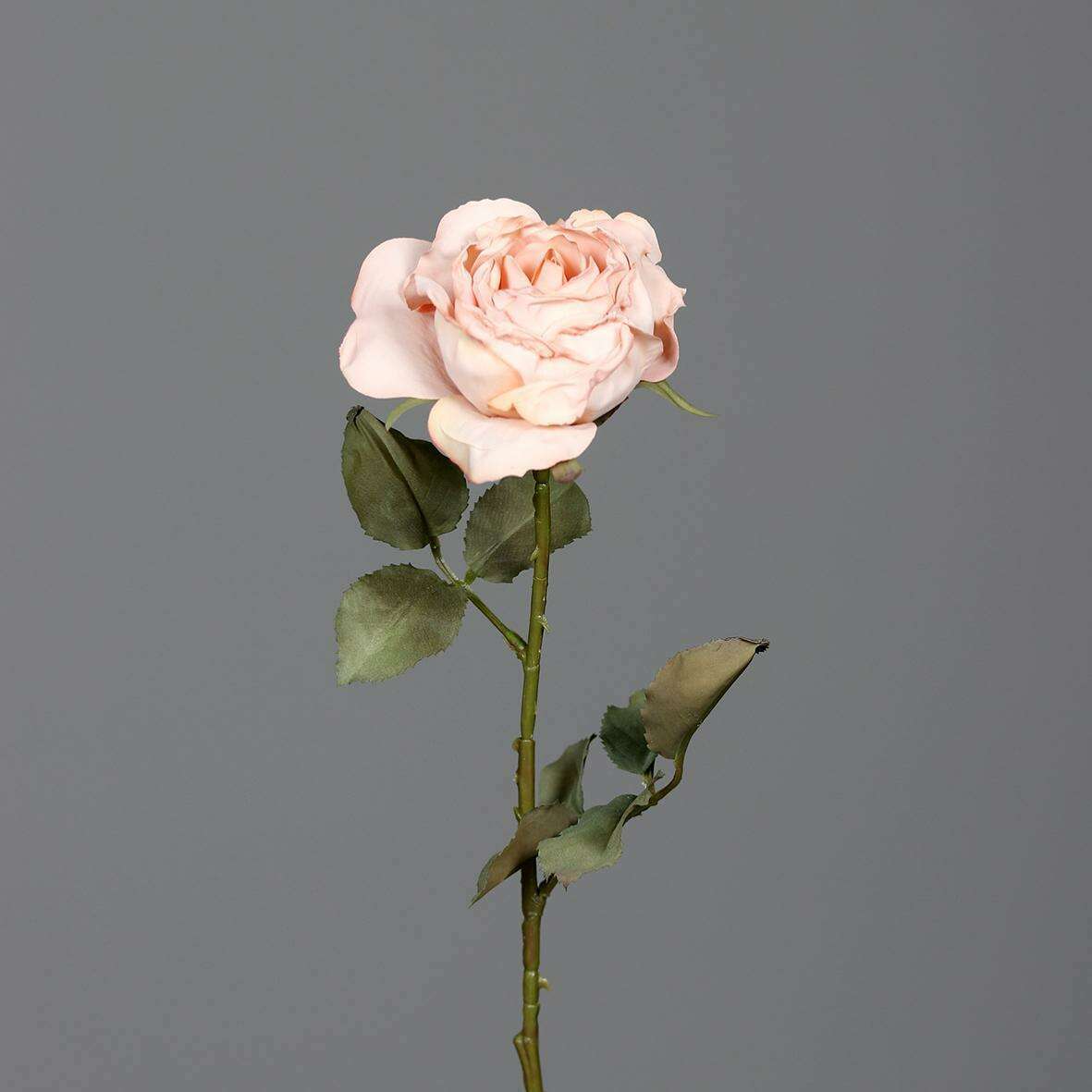 Fleur artificielle coupée rose - aspect rustique fleur séchée - H.60cm rose blanc