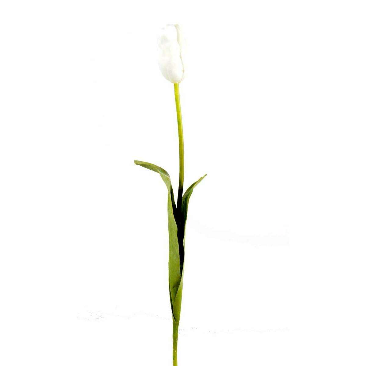 Fleur artificielle coupée Tulipe - décoration d'intérieur - H.79cm blanc