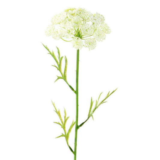 Fleur artificielle Daucus - création bouquet pour intérieur - H. 55cm blanc