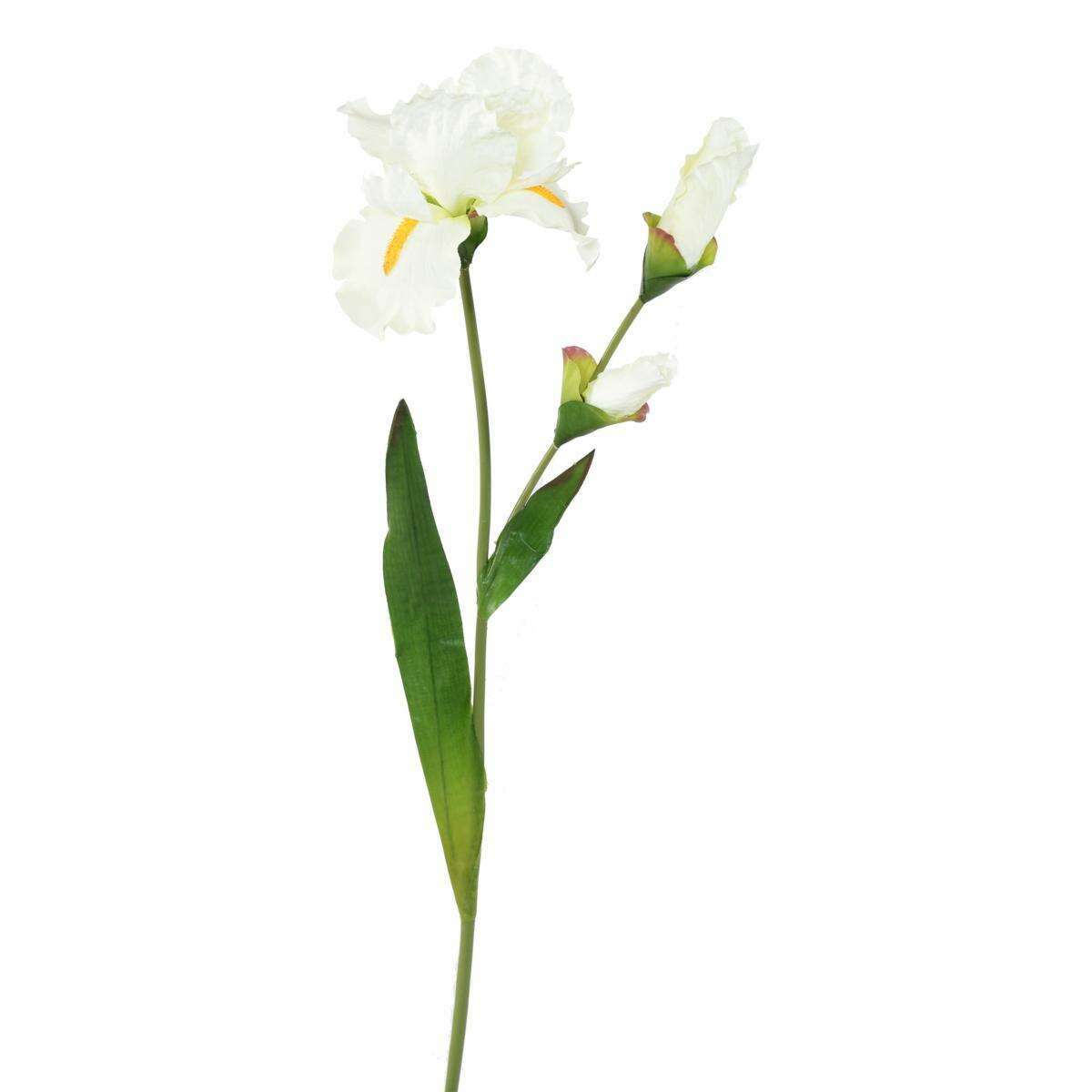 Fleur artificielle iris 1 fleur 2 boutons - décoration d'intérieur - H. 74cm blanc