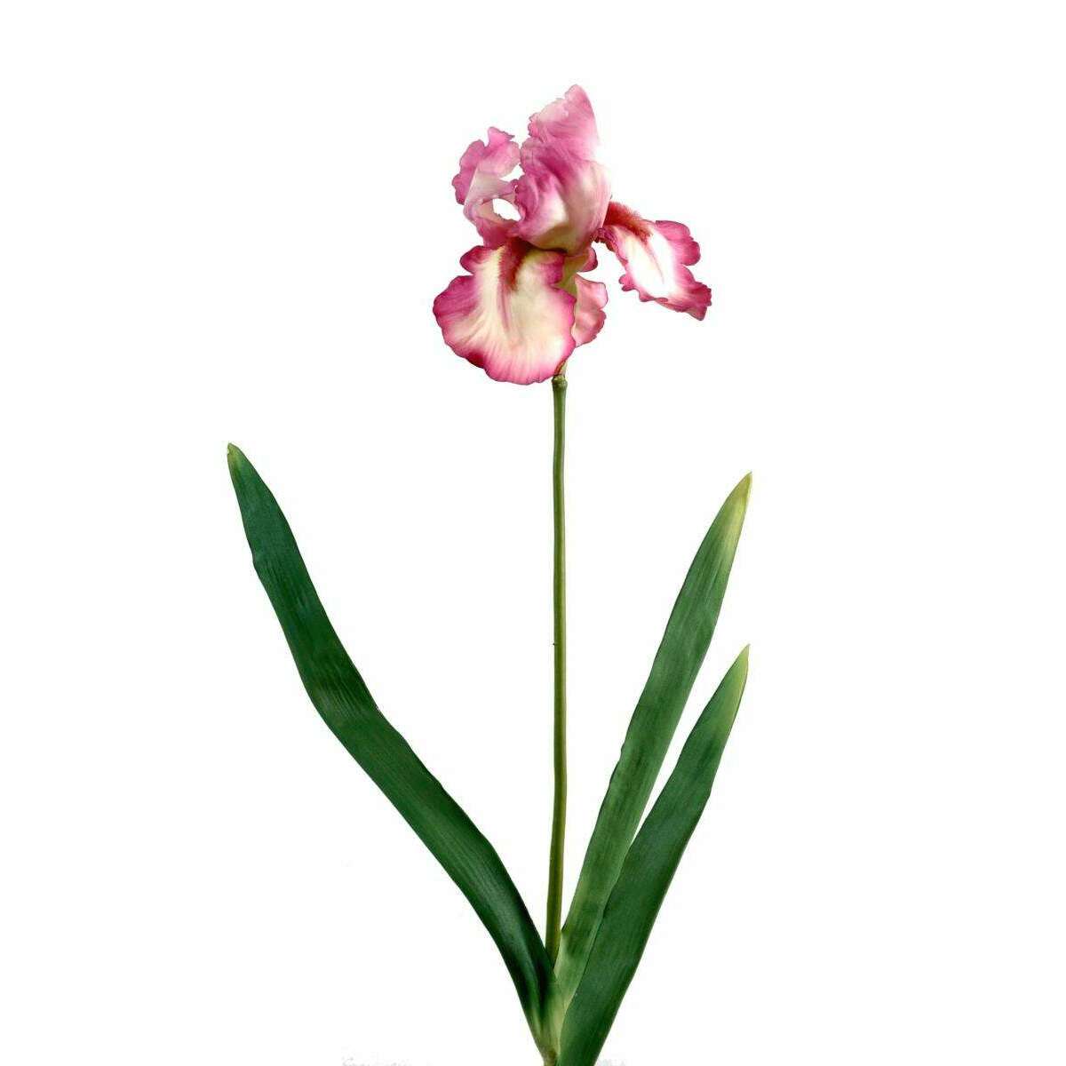 Fleur artificielle iris haute qualité - fleur bicolore - H. 77 cm fuchsia