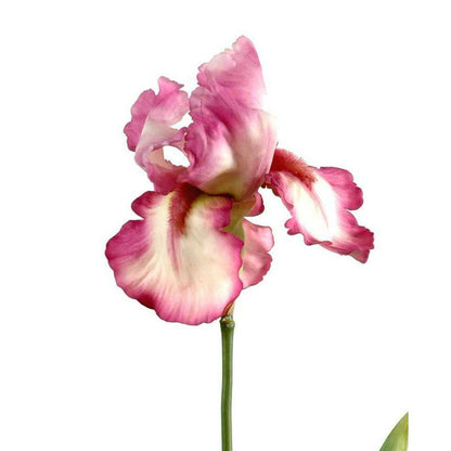 Fleur artificielle iris haute qualité - fleur bicolore - H. 77 cm fuchsia