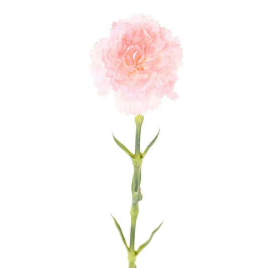 Fleur artificielle Oeillet - composition florale - H.55cm rose