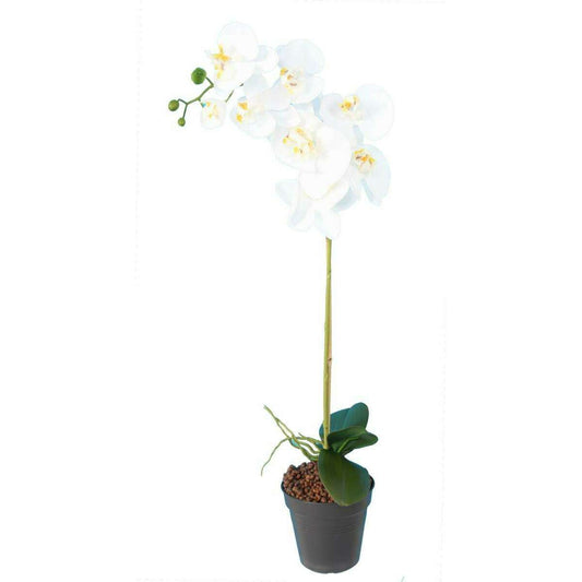 Fleur artificielle Orchidée Phalaenopsis - 8 fleurs et 4 boutons - H.76cm blanc