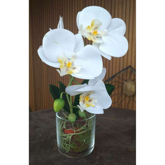 Fleur artificielle Orchidée Phalaenopsis dans un pot en verre - plante d'intérieur - H.42cm crème