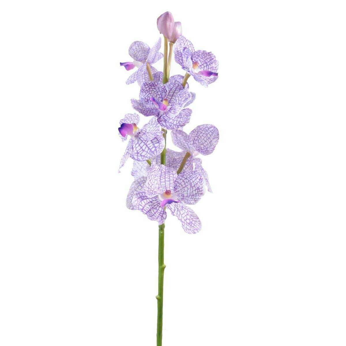 Fleur artificielle Orchidée Vanda feuillage enduit - Fresh Touch - H.60cm violet blanc