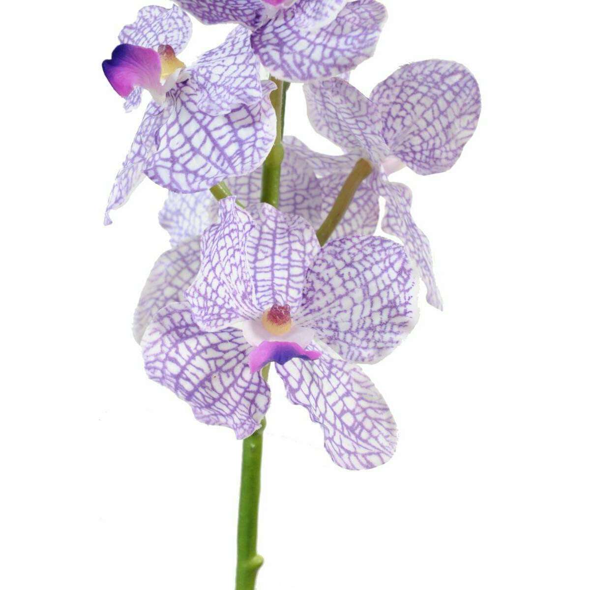 Fleur artificielle Orchidée Vanda feuillage enduit - Fresh Touch - H.60cm violet blanc