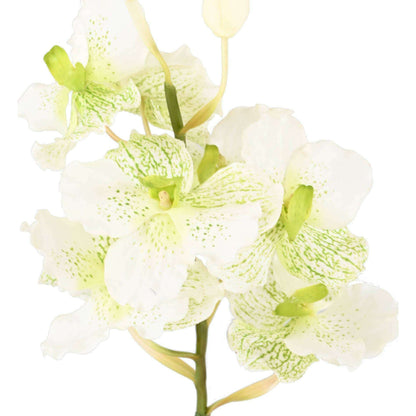 Fleur artificielle Orchidée Vanda Fresh Touch - haut de gamme - H.70cm blanc