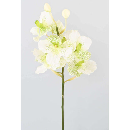 Fleur artificielle Orchidée Vanda Fresh Touch - haut de gamme - H.70cm blanc