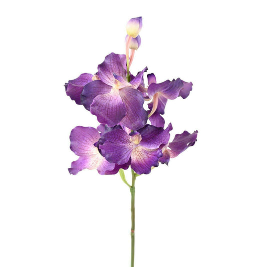 Fleur artificielle Orchidée Vanda Fresh Touch - haut de gamme - H.70cm violet