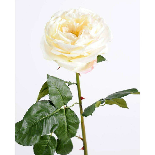 Fleur artificielle rose Anglaise Ø.14cm - haute gamme - H.85cm crème