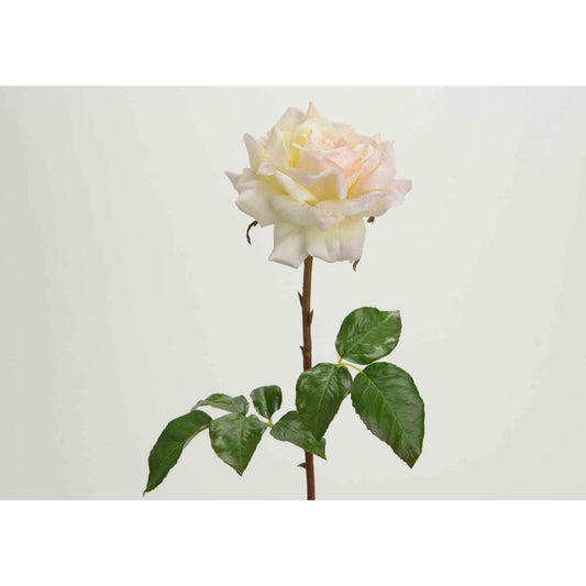 Fleur artificielle rose Pristine - Fresh touch haute qualité - H.52cm crème