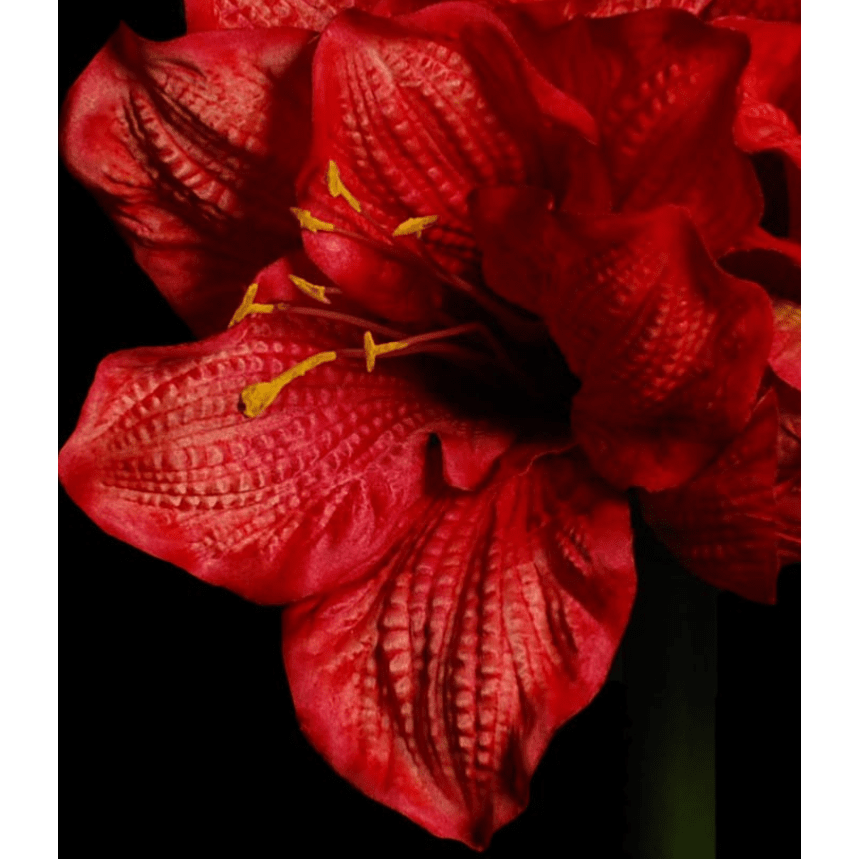 Fleur artificielle tige d'Amaryllis - création composition florale - H.90cm rouge