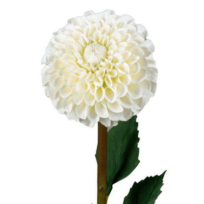 Fleur artificielle tige de Dahlia - composition florale - H.96cm crème