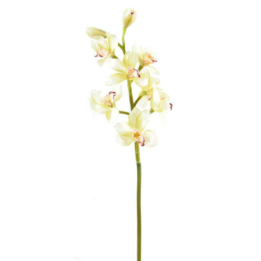 Fleur coupée Orchidée Cymbidium - création bouquet artificiel - H.100cm crème