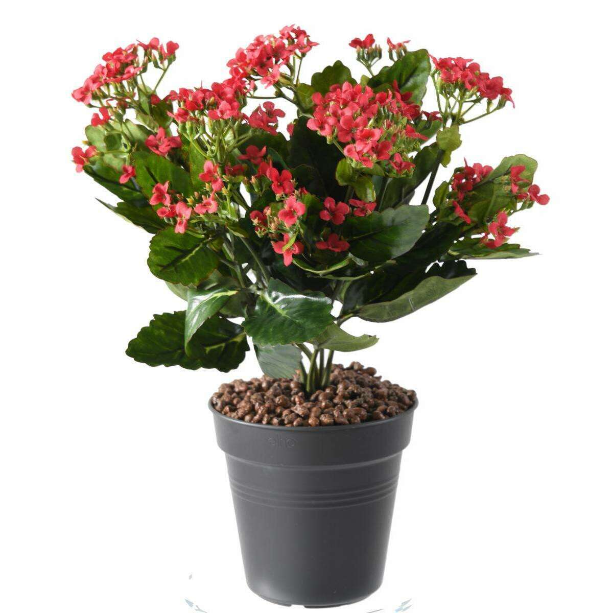 Fleurs artificielles Kalanchoe - plante en piquet - H.25cm rouge